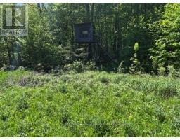 2147 Marlbank Road, Tweed), ON K0K3J0 Photo 50