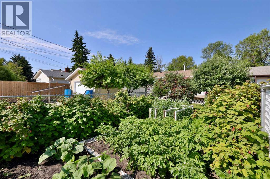 4407 66 Street - 48