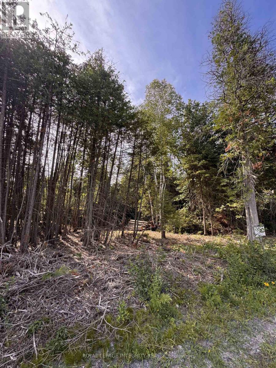 Land for Sale in Ottawa – 7110 GALLAGHER ROAD, Ottawa – MLS# X12875784 - Image 15