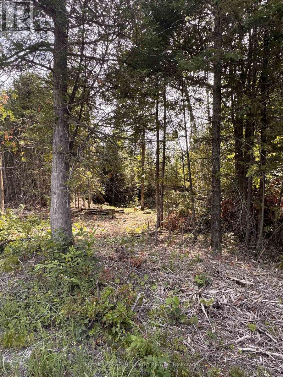 Land for Sale in Ottawa – 7110 GALLAGHER ROAD, Ottawa – MLS# X12875784 - Image 3