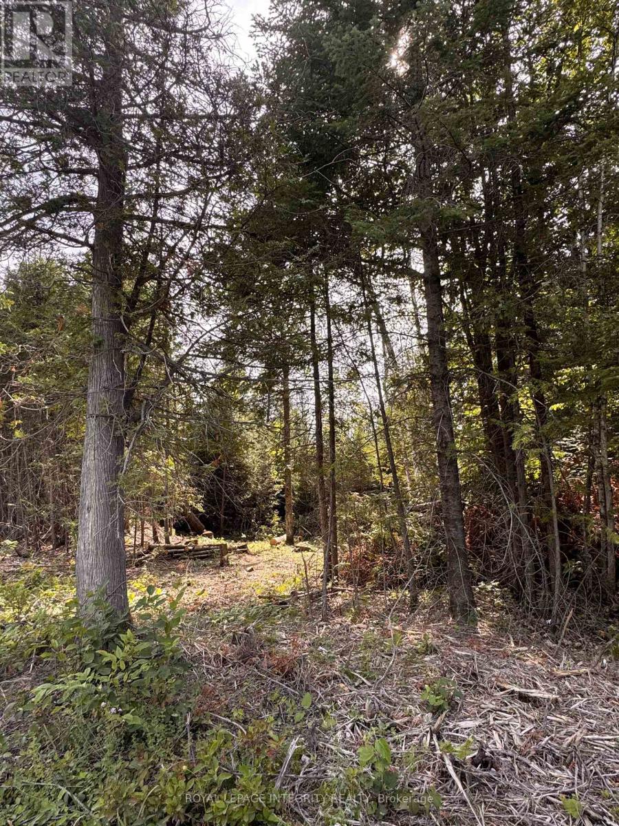 Land for Sale in Ottawa – 7110 GALLAGHER ROAD, Ottawa – MLS# X12875784 - Image 8