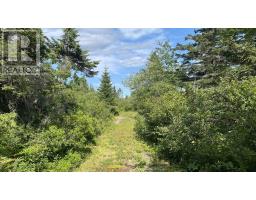 Oceanfront At Eagle Point Road, Eagle Head, NS B0J1H0 Photo 11