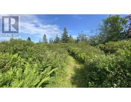 Oceanfront At Eagle Point Road, Eagle Head, NS B0J1H0 Photo 14