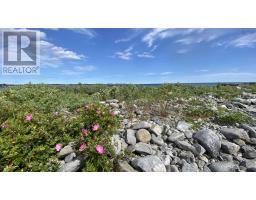 Oceanfront At Eagle Point Road, Eagle Head, NS B0J1H0 Photo 20