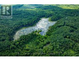 149 Brouse Road, Laurentian Hills, ON K0J1P0 Photo 47