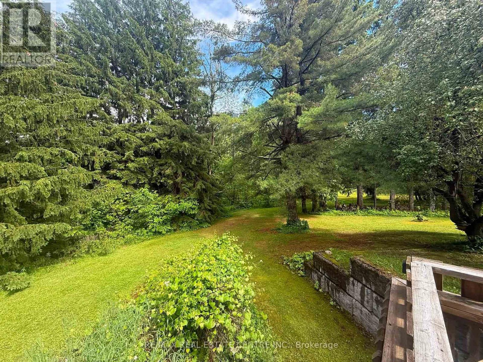 21 MCCUTCHEON ROAD - 19