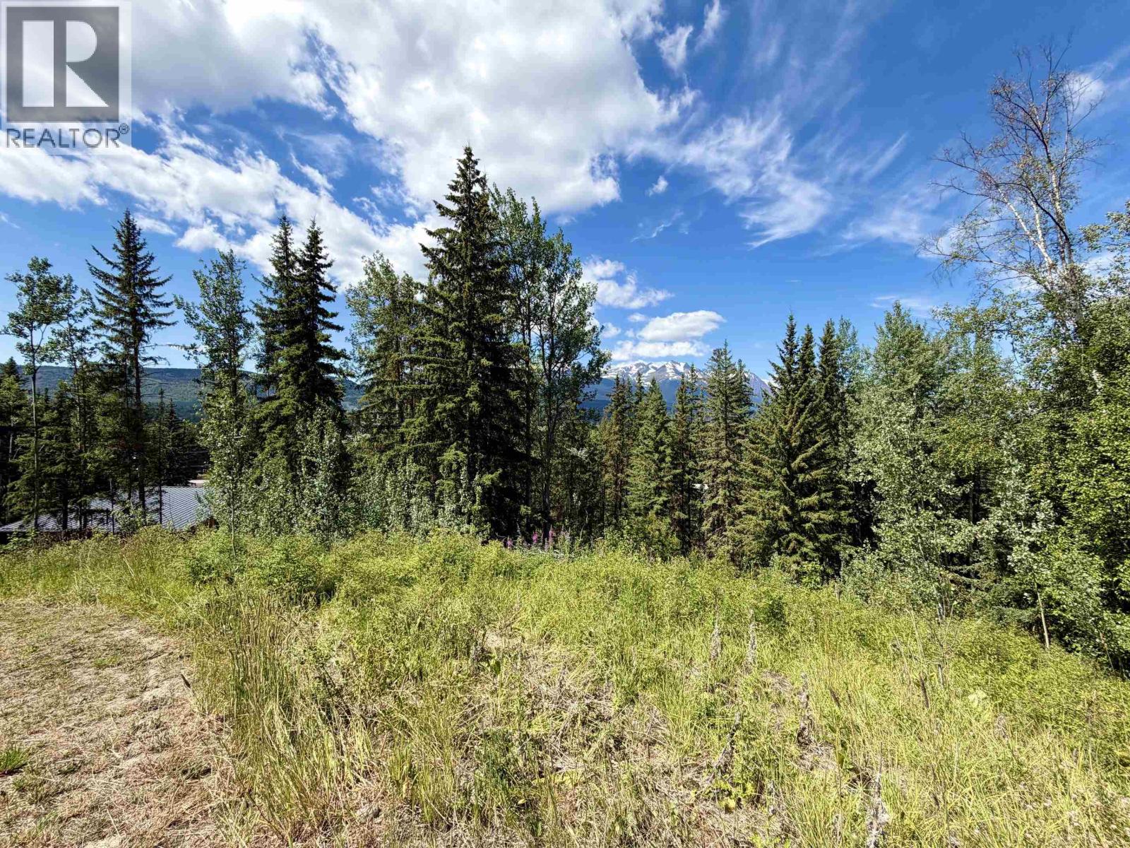 120 COLIN ROAD, Smithers
