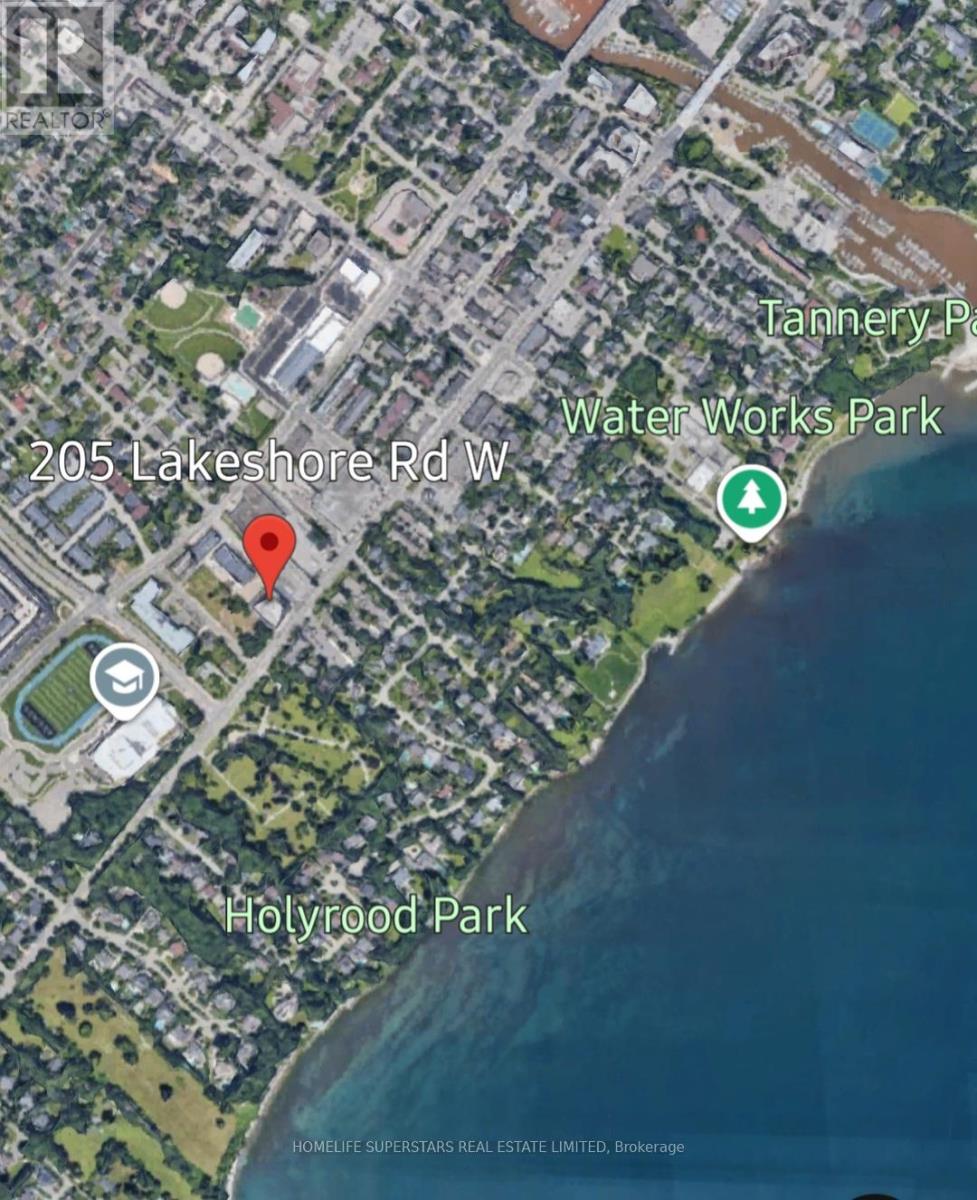 #302 205 LAKESHORE ROAD W - 50