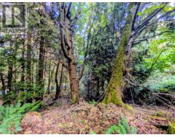 1018 Bertha Ave, Gabriola Island, BC V0R1X3 Photo 23