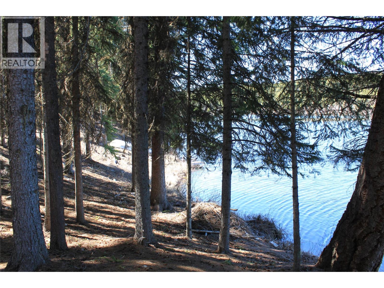 272 Link Lake Road - 5