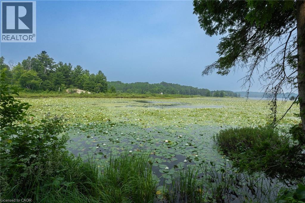 1013 HOPKINS HILL Road - 32