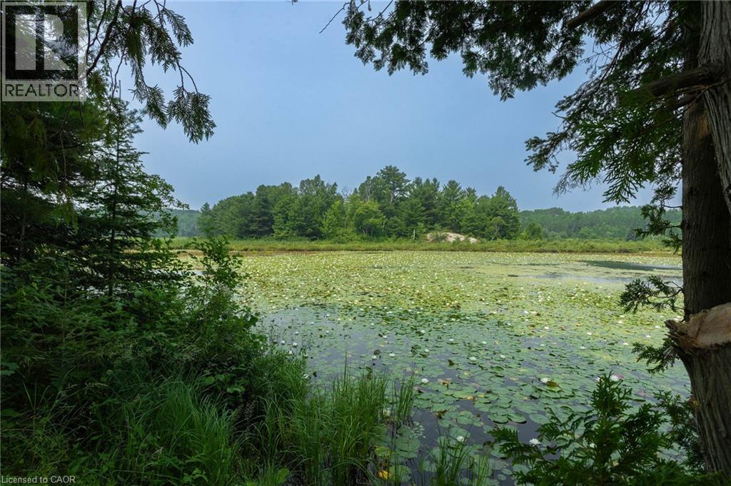 1013 HOPKINS HILL Road - 33