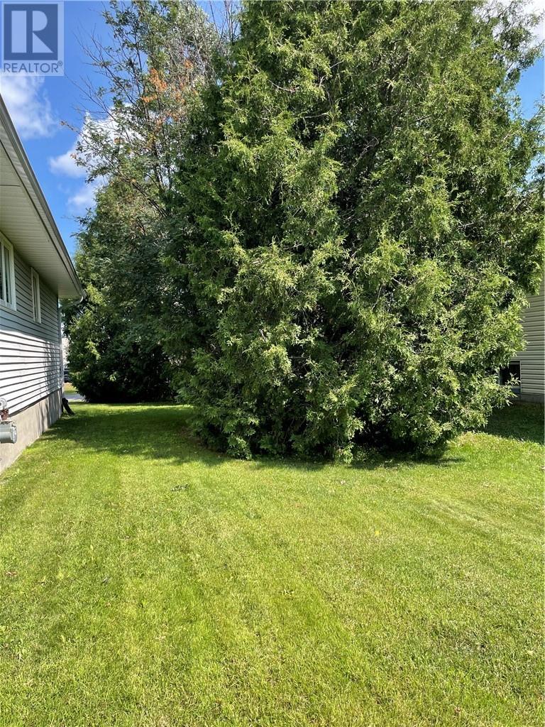 1067 St Anthony Street W - Image 40