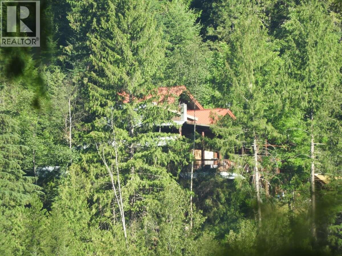 6119 Slocan River Road - 1