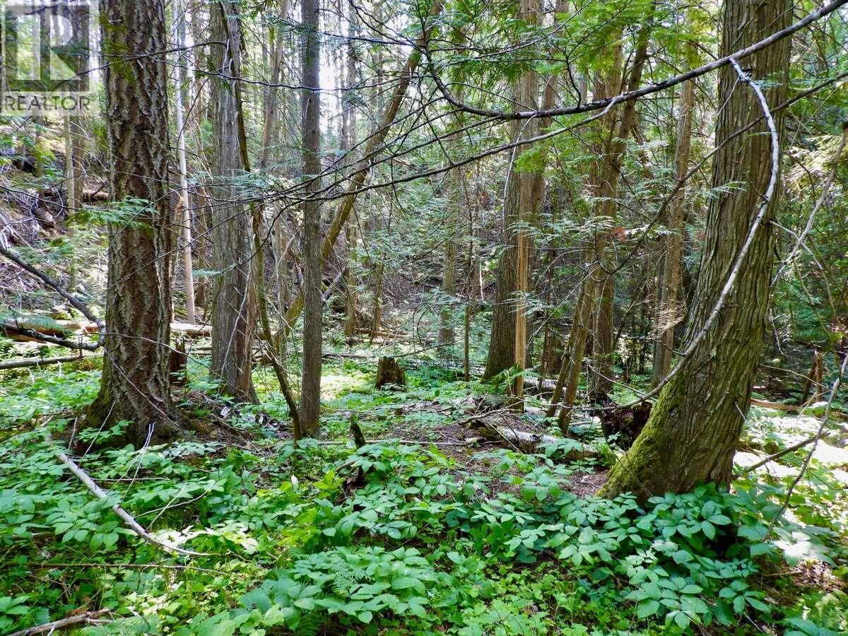 6119 Slocan River Road - 45