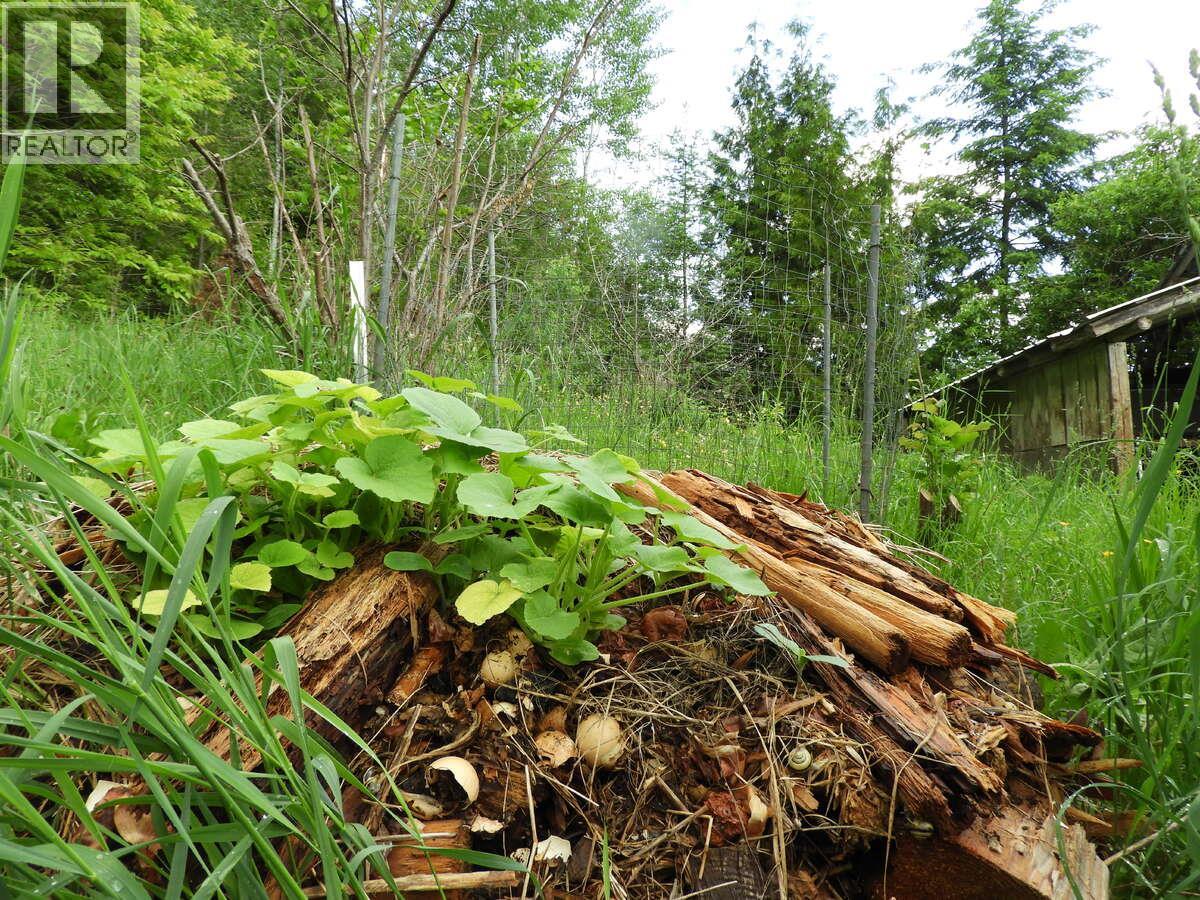 6119 Slocan River Road - 38