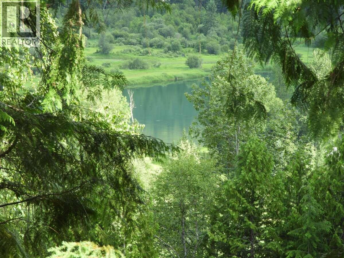6119 Slocan River Road - 20
