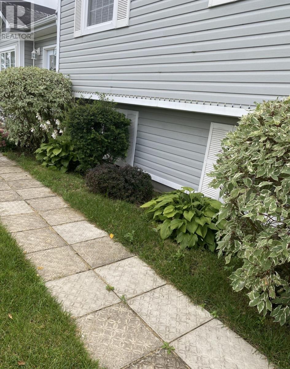 26 Finn Avenue - 42