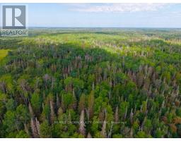 197 Ouellette Bay Road, Kapuskasing, ON P0L1V0 Photo 7