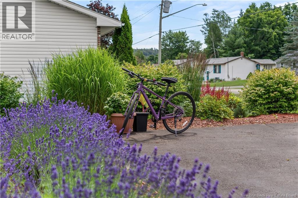 27 Maxwell Drive - Image 4