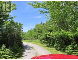 99-5 72 Naturer Dream P Boulevard, Roberta, NS B0E3B0 Photo 10