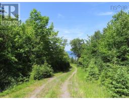99-5 72 Naturer Dream P Boulevard, Roberta, NS B0E3B0 Photo 11