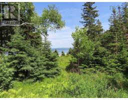 99-5 72 Naturer Dream P Boulevard, Roberta, NS B0E3B0 Photo 6