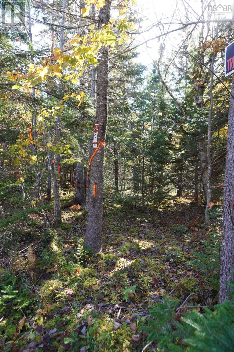 Property 17 of 21 of 98-11 Salem Road, Gabe MacIssac Dr