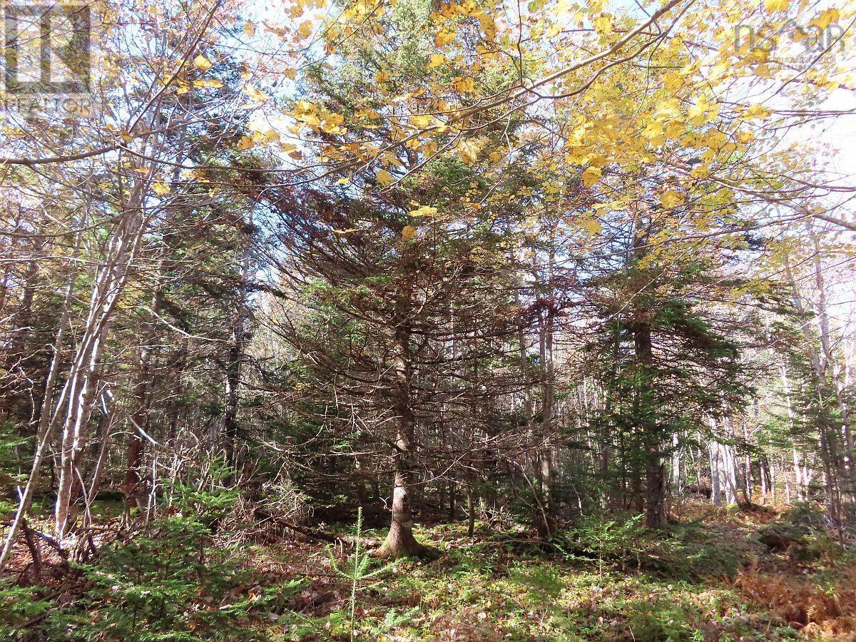 Property 10 of 21 of 98-11 Salem Road, Gabe MacIssac Dr