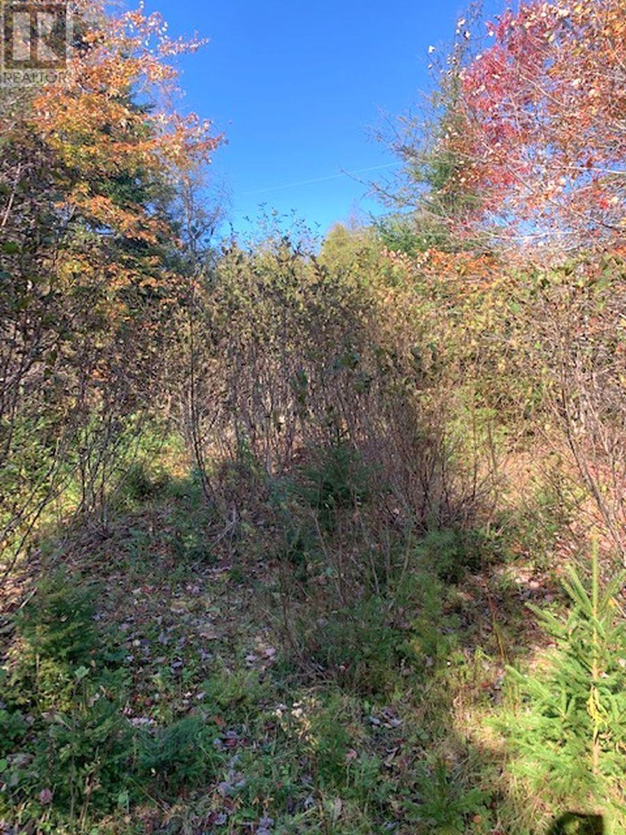 Property 19 of 21 of 98-11 Salem Road, Gabe MacIssac Dr