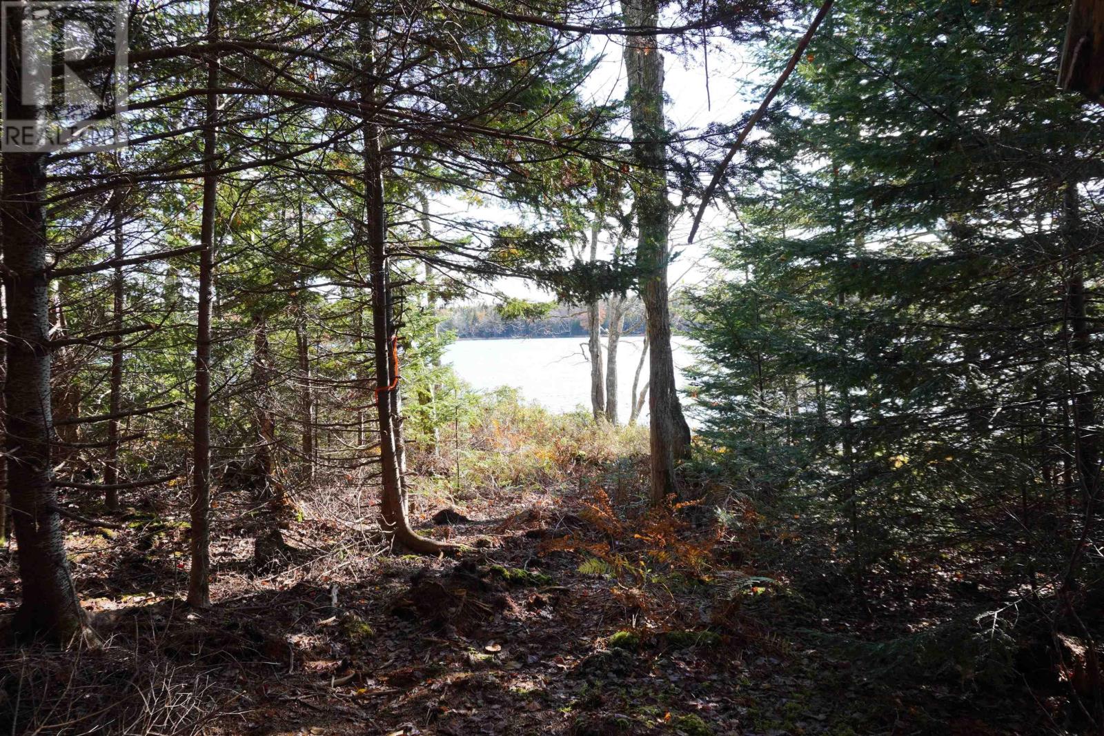 Property 18 of 21 of 98-11 Salem Road, Gabe MacIssac Dr