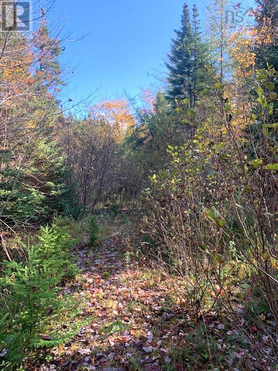 Property 20 of 21 of 98-11 Salem Road, Gabe MacIssac Dr