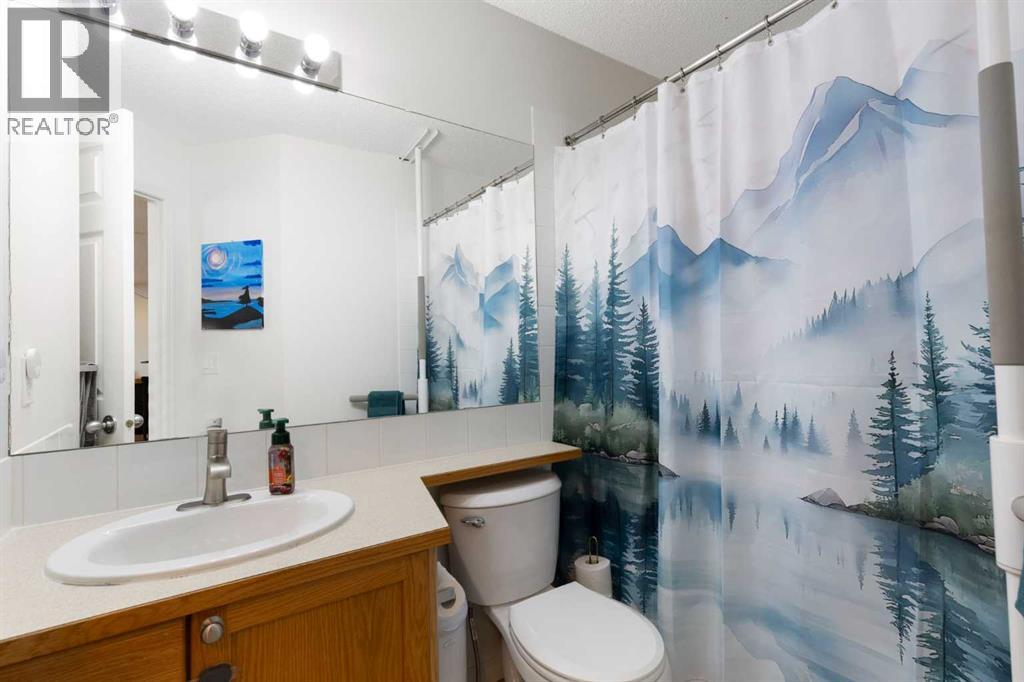 #3 117 Bow Ridge Drive - 19
