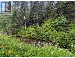 1295 Val D'amour Road, Val D Amour, NB E3N5M5 Photo 26