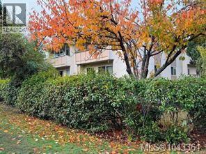 303 1597 Midgard Avenue, Saanich