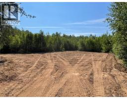 Lot Richard Hill Road, photo 3