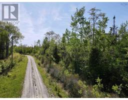 Lot 112 Macdonald Drive, Upper Washabuck, NS B2C1M2 Photo 6