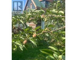 1013 Lavant Darling Road, Lanark Highlands, ON K0G1K0 Photo 44