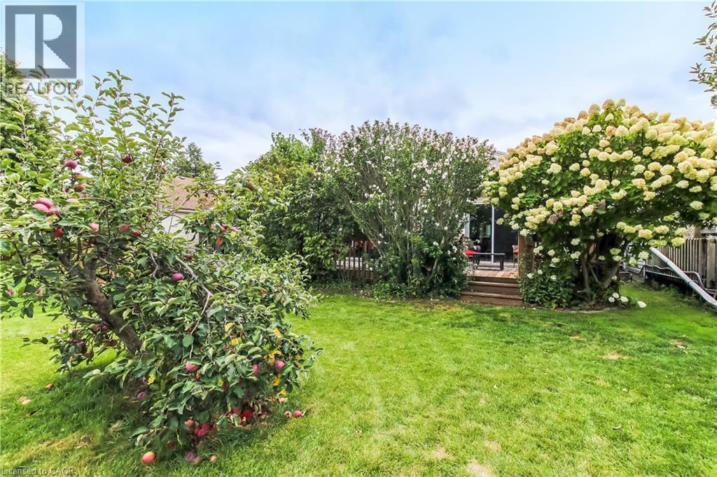 5 WALSINGHAM Drive - 19