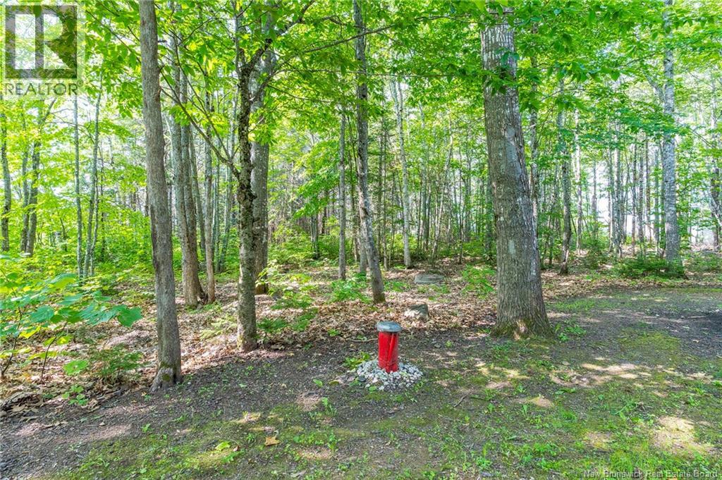 42 Roy Scenic Drive - 48