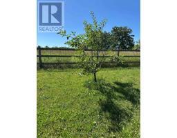 164 Bateman Road, Stirling Rawdon, ON K0K3C0 Photo 12