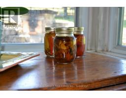164 Bateman Road, Stirling Rawdon, ON K0K3C0 Photo 44