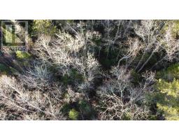 Lot 3 Highway 10, Albany, NS B0S1P0 Photo 11