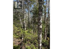 Lot 3 Highway 10, Albany, NS B0S1P0 Photo 6