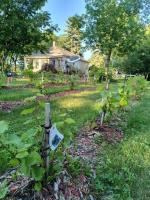 527 5th Street, Elgin, MB R0K0T0 Photo 40