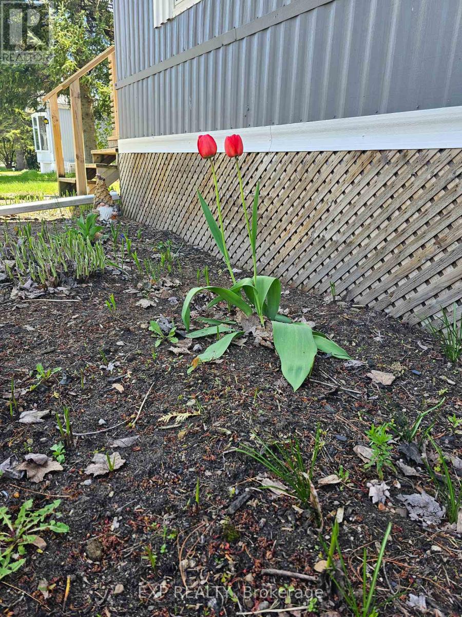 108 HUTT ROAD - 22
