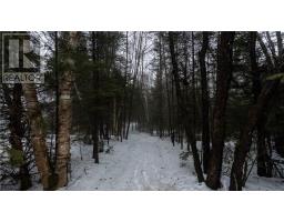 Pt 4 Norland, Verner, ON P0H2M0 Photo 20
