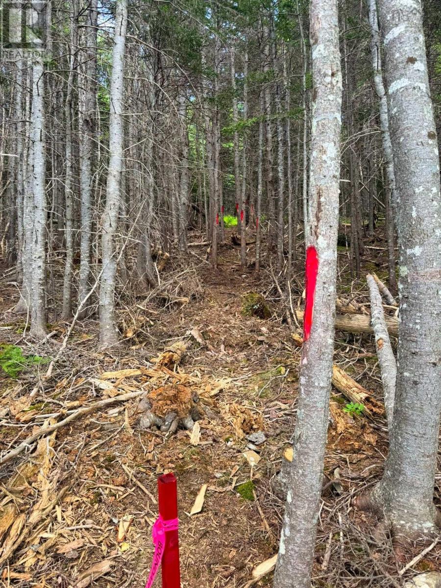 Property 8 of 10 of Lot 25-1R Corbetts Cove Road