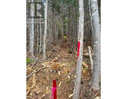 Lot 25-1r Corbetts Cove Road, Corbetts Cove, NS B0E3B0 Photo 8