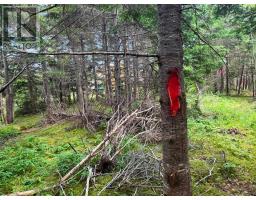 Lot 25-1r Corbetts Cove Road, Corbetts Cove, NS B0E3B0 Photo 10